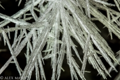 we found some ice crystals
