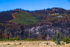Just before we enter the Pasayten Wilderness there is a very recent burned area. We even pass a log that’s still on fire. The fire has destroyed the trail in some places and I find myself just following a ridge line until I can find the trail below.
