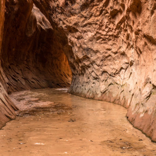 A little side trip off the Pahreah river to find this slot canyon. The Asay Slot had a thin layer of water running through it, which caused a lot of quicksand.