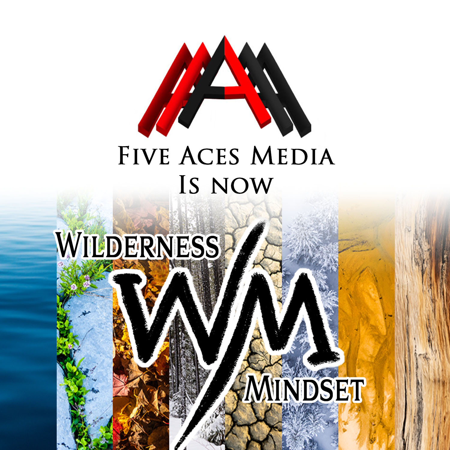 five aces to WM copy